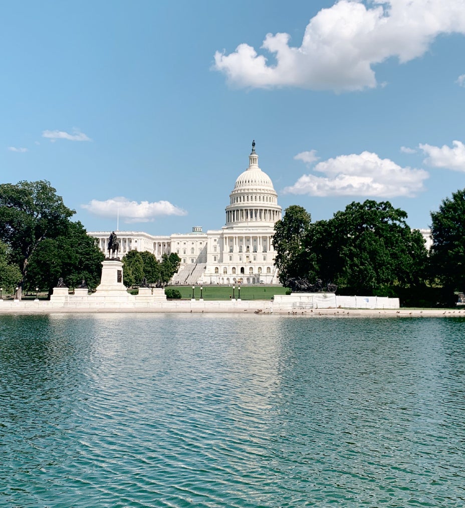 View of the lake in front of the United States Capitol surrounded by green tress and grass.