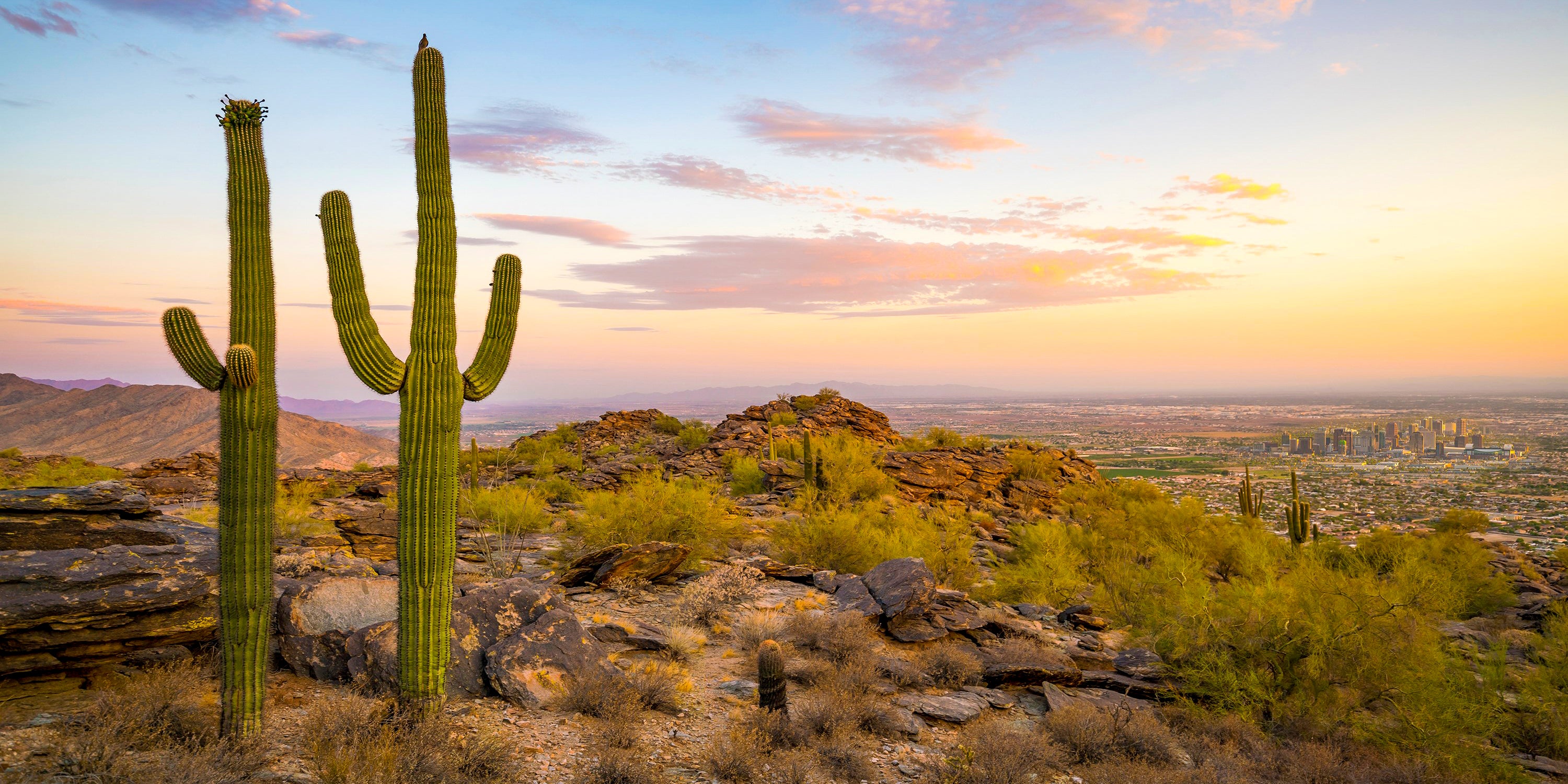 desert landscape